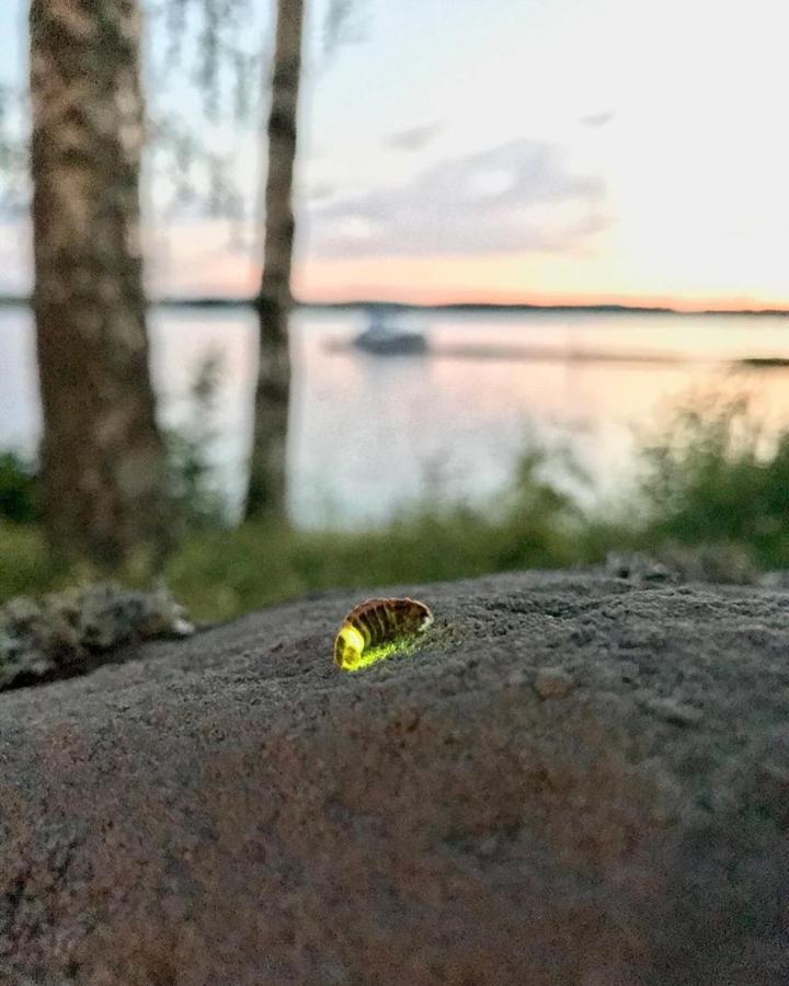 Koskenselkae Camping Puumala Buitenkant foto